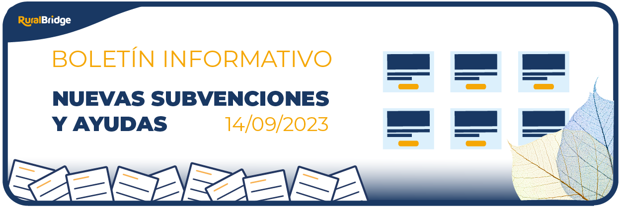 Cabecera boletin_Boletín Informativo
