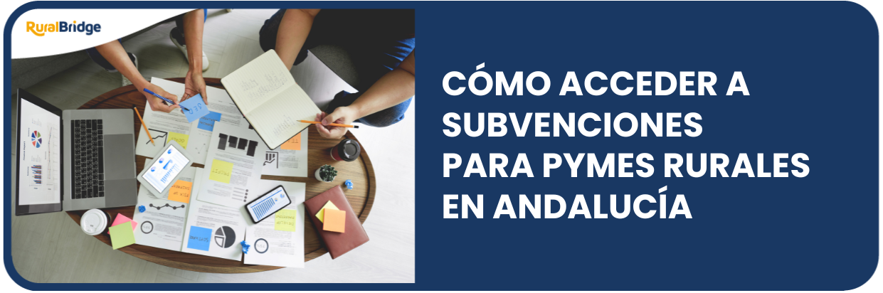 Rural Bridge Subvenciones pymes andalucía