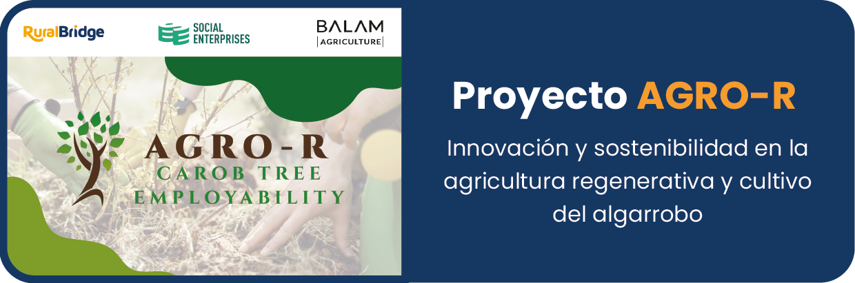 Rural Bridge AGRO-R