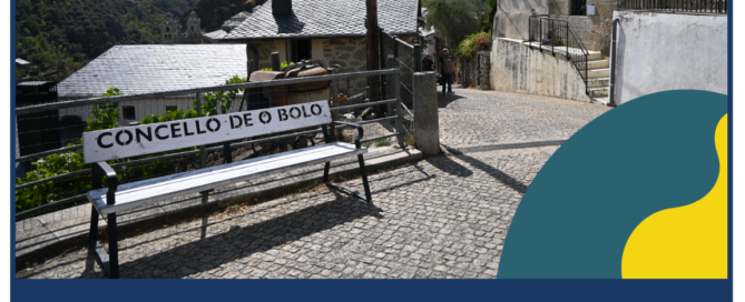 O Bolo